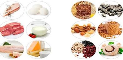 Comer produtos proteicos para perder peso
