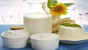 produtos de leite fermentado para pancreatite